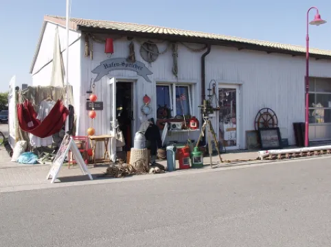 Vacation with dog, and without dog