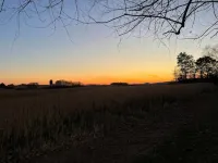 Bluegrass Bliss