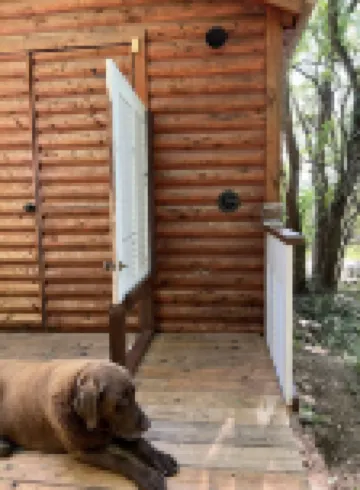 Sunset Hillside Cabin "C" on Horse Farm w/ Hiking 林肯縣酒店