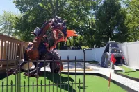 ★Dragon’s Lair★Private Home w/ Arcade & Minigolf★