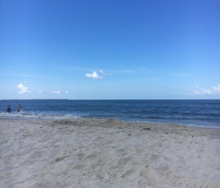 Photo 6 of 6