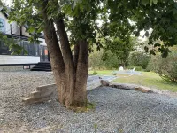 “Acadia National Park” Bernard Maine “Queitside”Near Harbor “Pet Friendly”