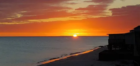 AWESOME VIEW... On Private Gulf of Mexico Beach... Majestic Views  🐢🌴🌞