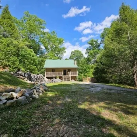 Perfect Family Friendly Cabin w/ privacy/arcade games/yard space in Townsend, TN