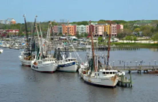 Short walk to the beach- 2BR, 2BA “Tranquility on Amelia"