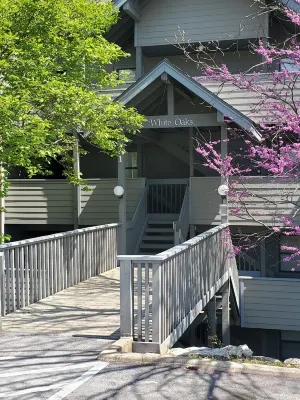 Treehouse Condos - Branson