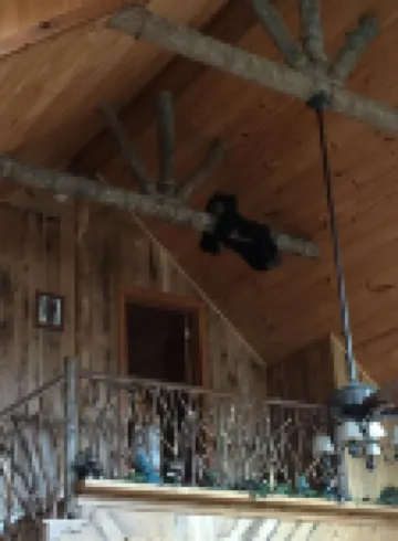 Spring is Here!!  Come Enjoy the Great Outdoors at Poplar Lodge!