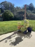 Pismo Beach / SLO / Beach just 2 miles away! Pet-friendly home with pizza oven.