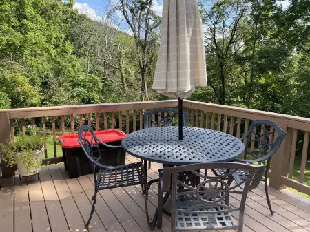 Pete's Place: Forest retreat near wineries, Blue Ridge School, and Shenandoah NP