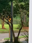 The Creek House ~Gorgeous upscale 3/BR 3/Bath home in historic district