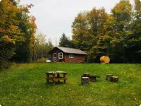 Cabin on lake with sauna - pets ok. Kayaks and boat provided.