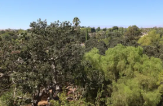 Over the Oaks - Great View - Whole Home - Stylish