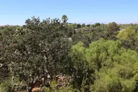 Over the Oaks - Great View - Whole Home - Stylish