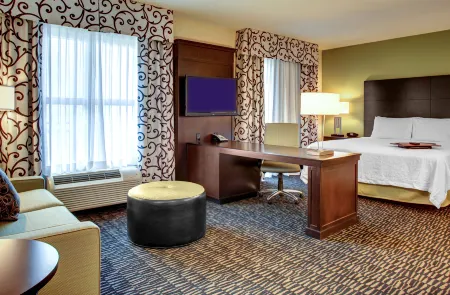 Hampton Inn & Suites Baton Rouge Downtown Отели в г. Порт Аллен
