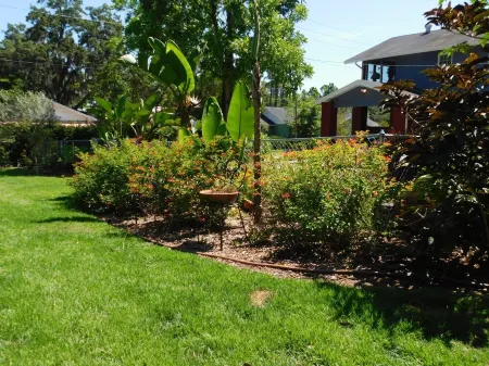 Spacious & Centrally Located; Busch Gardens Ybor Medical USF Sports Conventions