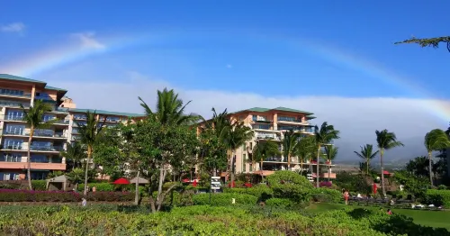 Spectacular Ocean View, Privacy, Sunsets & Whales from Lanai, Konea Tower #544