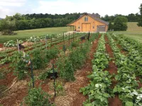 The Mockingbird Farm "Barn-do-minium" is situated on 27 rolling acres.