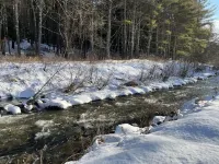 Creek side cabin near State Parks and ski resorts