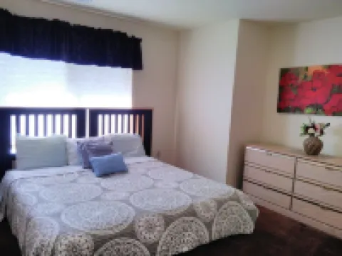 Bird Lover’s Paradise