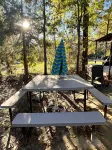 Modern relaxing cabin.  Firepit,  goats on property, and nearby fishing,.