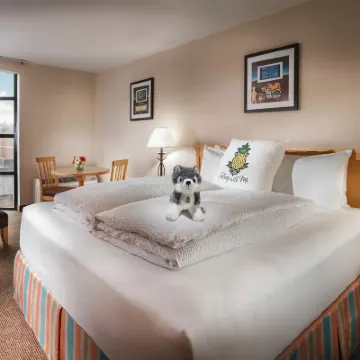 Staypineapple, University Inn, University District Seattle Hotels near University of Washington