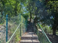 La Ginestra