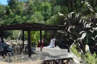 Creekside Mountain Home with private waterfall & farm near Lassen Burney Shasta