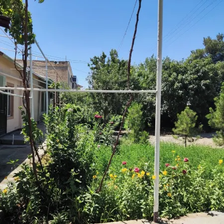 Siyohkoron Guesthouse