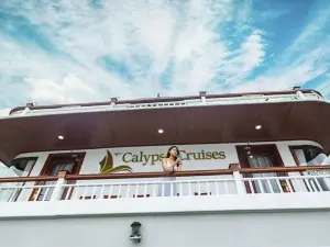 Le Journey Calypso & Boutique Pool Cruises