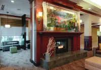 Hilton Garden Inn Rockford - bar