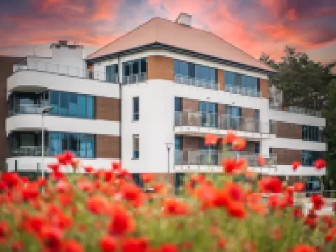 Bosque Komfort I Relaks Widok na las I Ogr D Hotels in Rogowo