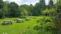Nant Ddu Lodge Hotel & Spa Hotels in 