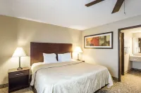 Quality Suites Milwaukee Airport - Phòng Gym