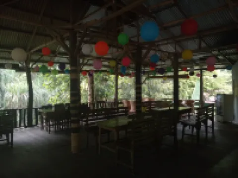 Green Lodge Tangkahan Hotels in Langkat Regency