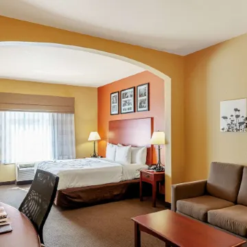 Sleep Inn & Suites Tyler South