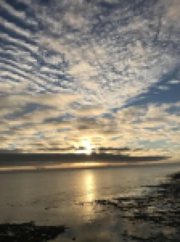 The Old Coastguard House