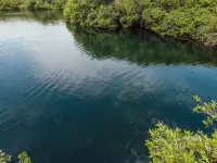 Yaxchen Tulum Cabañas & Cenote Hotels near Cesiak