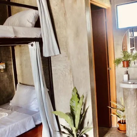 The Hangover Hostel
