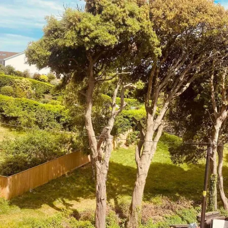 Family 4-Bed Apartment in Dawlish with Sea View