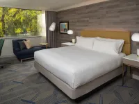 Hilton Durham Near Duke University Hotels in Durham