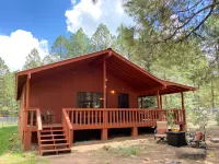 Open Floor Plan and Fenced Yard - Cozy Mountain Retreat