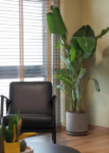 Aria Luxury Apartment