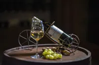 Assos Dionysos Special Class Hotel Adults Only 12 Years - bar