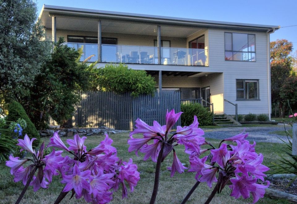 2. 코브 비치 아파..