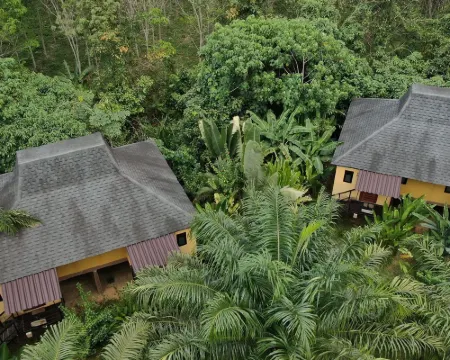 อนุรักษ์ คอมมูนิตี้ ลอดจ์ โรงแรมในอำเภอ พนม