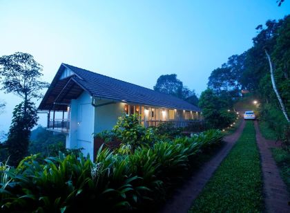 After the Rains - Rainforest Lodge
