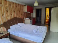Selimiye Palace Hotels in Edirne Merkez