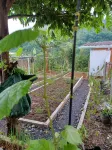 OMAHKAYU Các khách sạn ở Sukamakmur