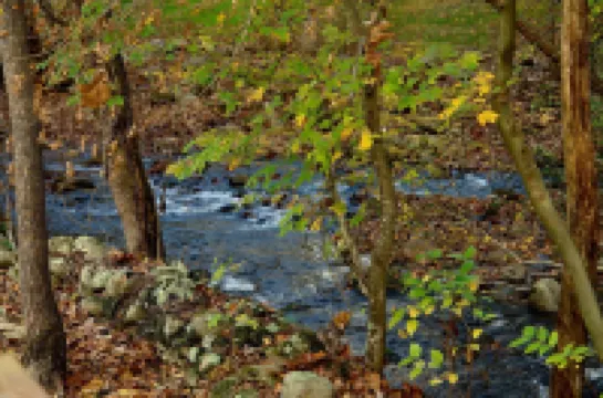 Jon's Pond on Cosby Creek - 2 Bedrooms, 2 Baths, Sleeps 6 Cabin by RedAwning