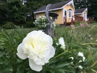 Sand Bar Cottage Inn